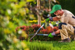 Landscaping Services in Sacramento