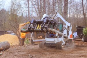 Tree Removal Services